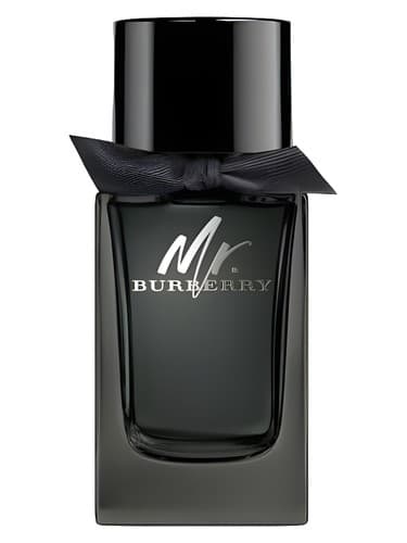 Burberry Mr Burberry Eau De Parfum